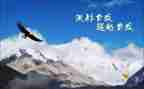 我超越了自己作文600字8篇