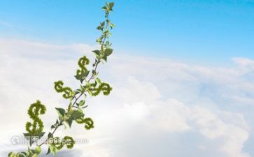 成长类优秀作文800字7篇