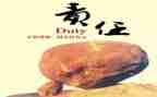我承担的责任作文推荐6篇
