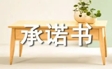 2024年护士承诺书8篇