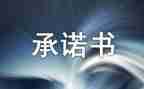 工程售后服务承诺书范文8篇