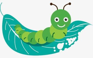 小班画毛毛虫教案优秀5篇