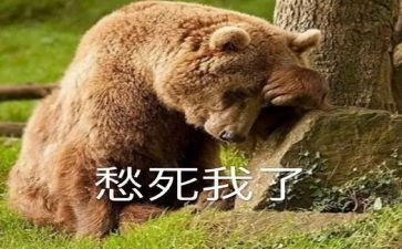 关于愁的作文400字最新6篇
