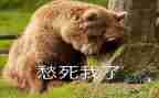 关于愁的作文800字通用5篇