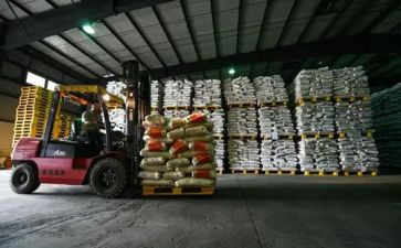 粮食储备2024年工作总结6篇
