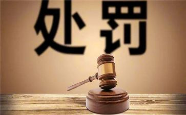 撤销处分的申请书模板6篇