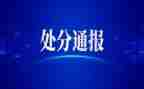 有处分的思想汇报6篇