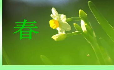 春小班教师工作计划优质7篇