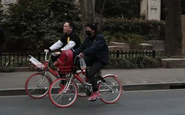 出行安全的教案6篇
