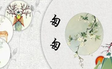 匆匆的我作文7篇