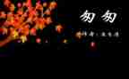 读匆匆有感作文8篇