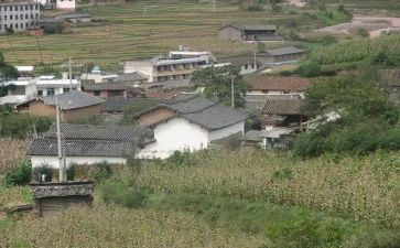 村调研报告最新7篇