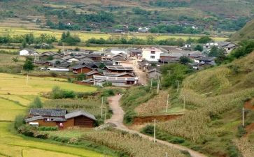 村调研报告8篇