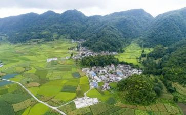 农村调研报告精选5篇