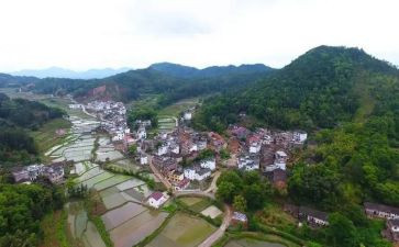村调研报告范文精选6篇