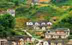 竞选村干部演讲稿通用7篇