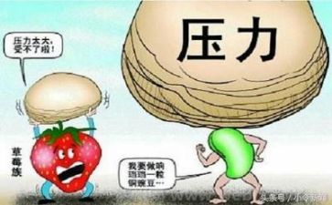 我面对挫折作文模板7篇