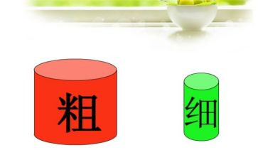 数学《比较粗细》教案8篇
