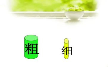 比较粗细教案中班教案8篇