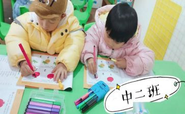 幼儿园大班二等分教案5篇