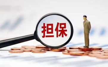 融资性担保合同参考8篇