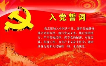 党站工作总结通用5篇