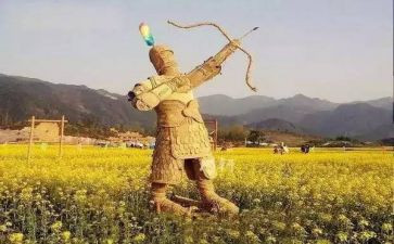 稻草稻草人读后感最新6篇