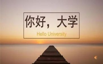 大学教师心得体会最新5篇