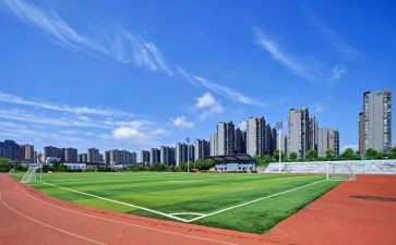 大学的心得体会7篇