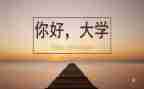 大学教师心得体会最新5篇