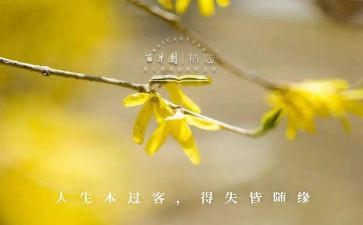 小学生得与失个人总结精选6篇