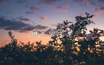 部队得与失心得体会8篇