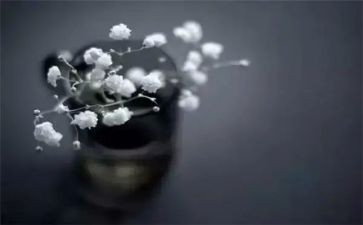 四年级我的得与失作文精选7篇
