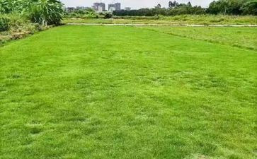 工地辞职报告8篇