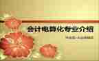 电算化会计心得8篇
