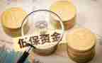 低保股工作总结8篇