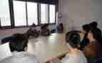 医学生顶岗月总结精选5篇