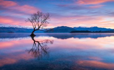 定格作文优质5篇