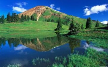 《定格》作文优质7篇