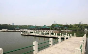 东湖公园作文通用5篇