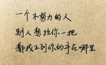 我读懂了.....作文优质5篇