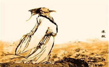 东坡肉读后感300字6篇