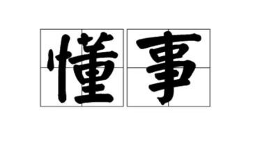 懂事的作文600字5篇