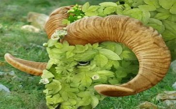 动植物园作文推荐8篇