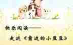 小豆豆的心得体会5篇
