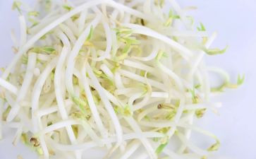 豆芽作文400字作文8篇