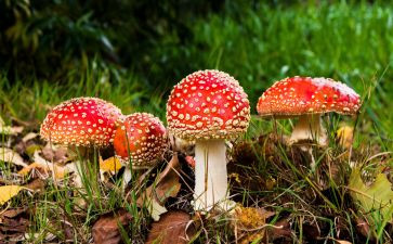 有关禁毒的心得体会5篇