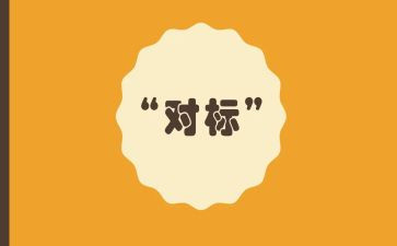 服务对标工作总结模板7篇