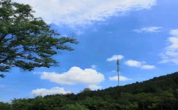 对不起作文最新6篇