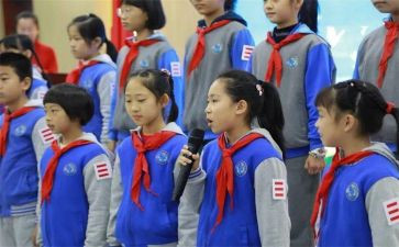 小学少先队员活动方案8篇